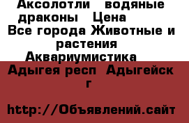 Аксолотли / водяные драконы › Цена ­ 500 - Все города Животные и растения » Аквариумистика   . Адыгея респ.,Адыгейск г.